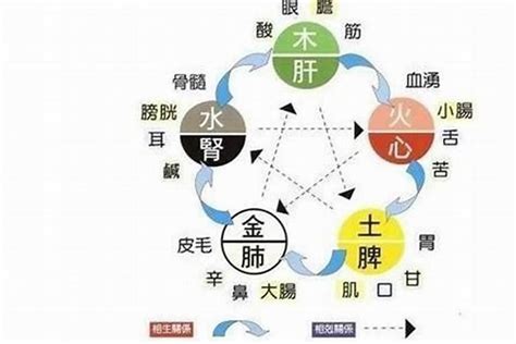 五行 補水|【五行缺水如何補救】五行缺水怎麼補救？五大絕招助你補好水行。